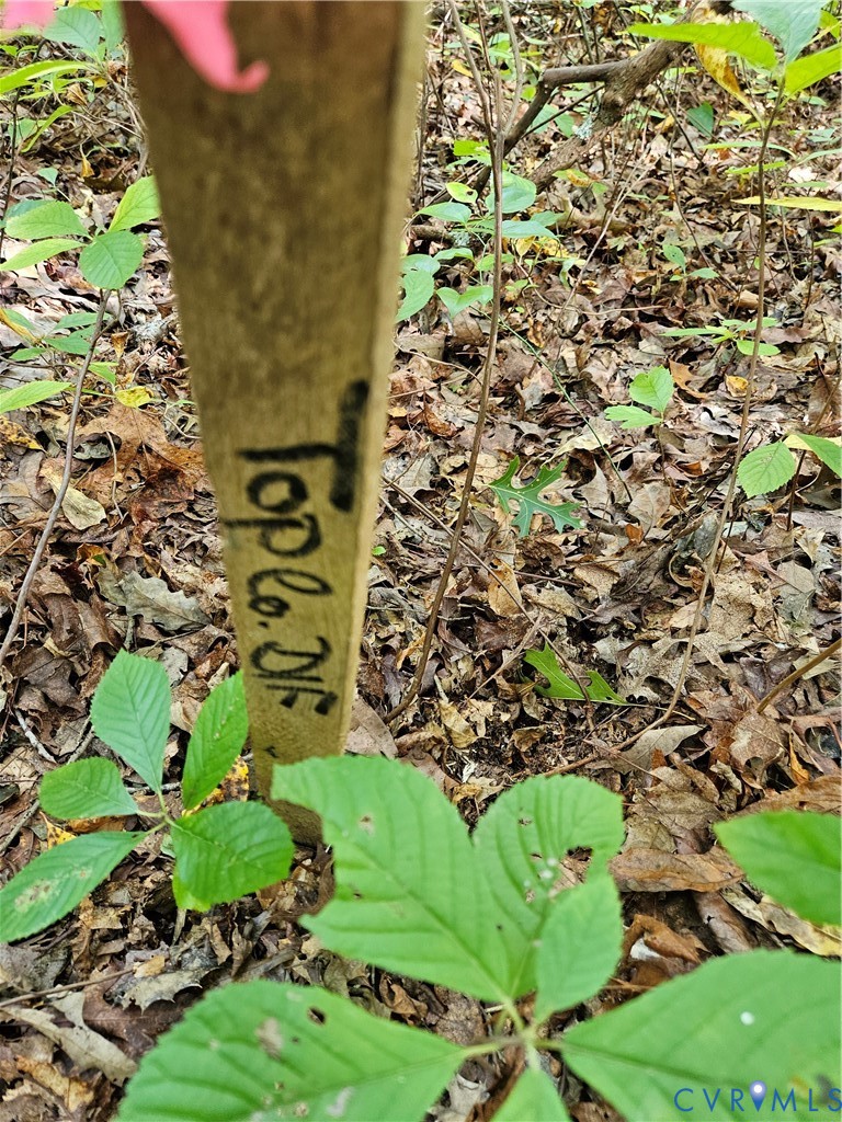 0 Long Branch Road Woodford, VA 22580 - Photo 6 of 33 view of a yard