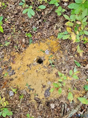 $94,900 | 0 Long Branch Road, Woodford, VA 22580