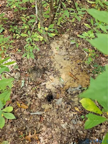 $94,900 | 0 Long Branch Road, Woodford, VA 22580