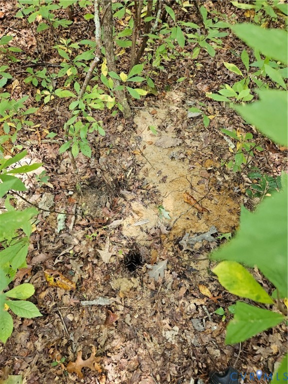 0 Long Branch Road Woodford, VA 22580 - Photo 8 of 33 Exterior view