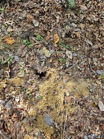 $94,900 | 0 Long Branch Road, Woodford, VA 22580