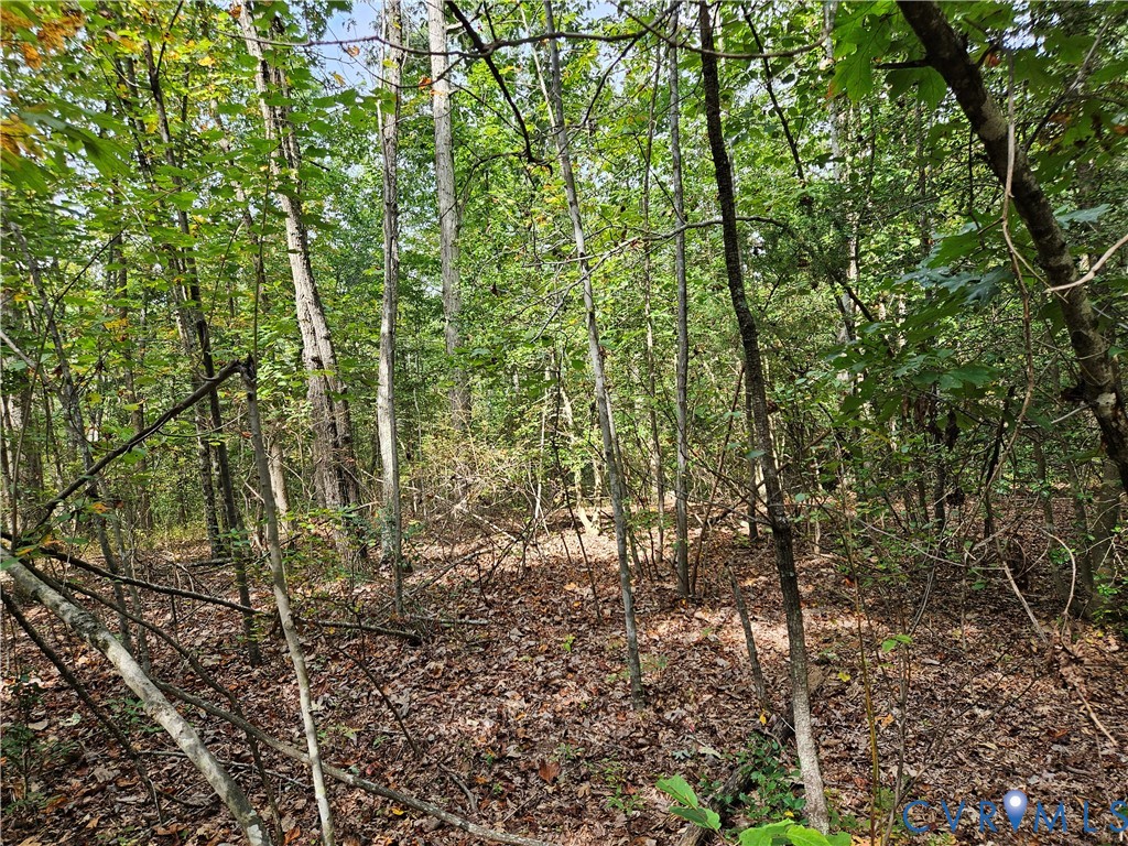 0 Long Branch Road Woodford, VA 22580 - Photo 10 of 33 View of local wilderness