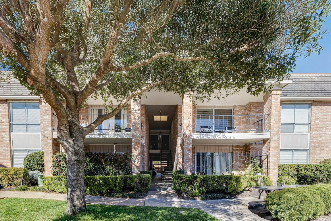 2234 South Piney Point Road, Unit 110 Houston, TX 77063 - Photo 8 of 25 Welcoming entrance flanked by neatly trimmed shrubs and a large tree providing shade. The building features balconies and large windows, offering a bright and airy atmosphere.