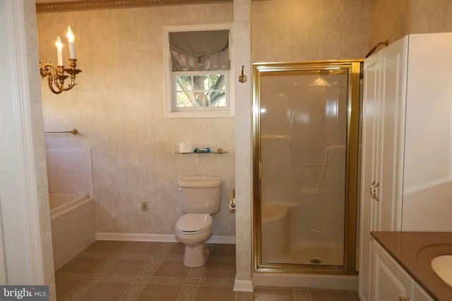 a bathroom with a granite countertop shower a toilet and a sink