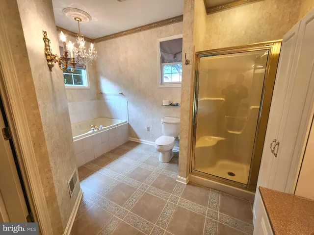a bathroom with a shower and a toilet