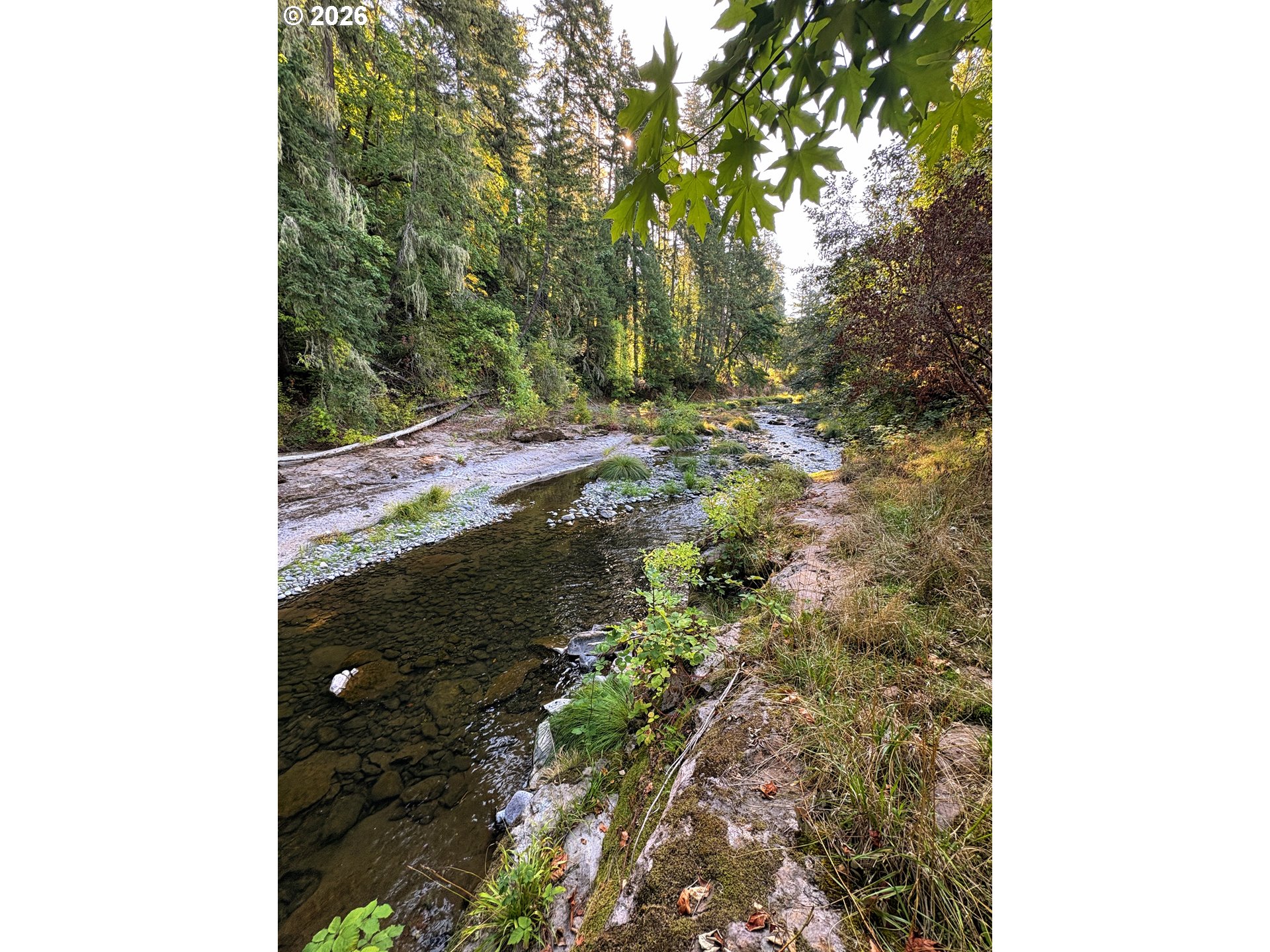 77189 Mosby Creek Road Cottage Grove, OR 97424 - Photo 35 of 36