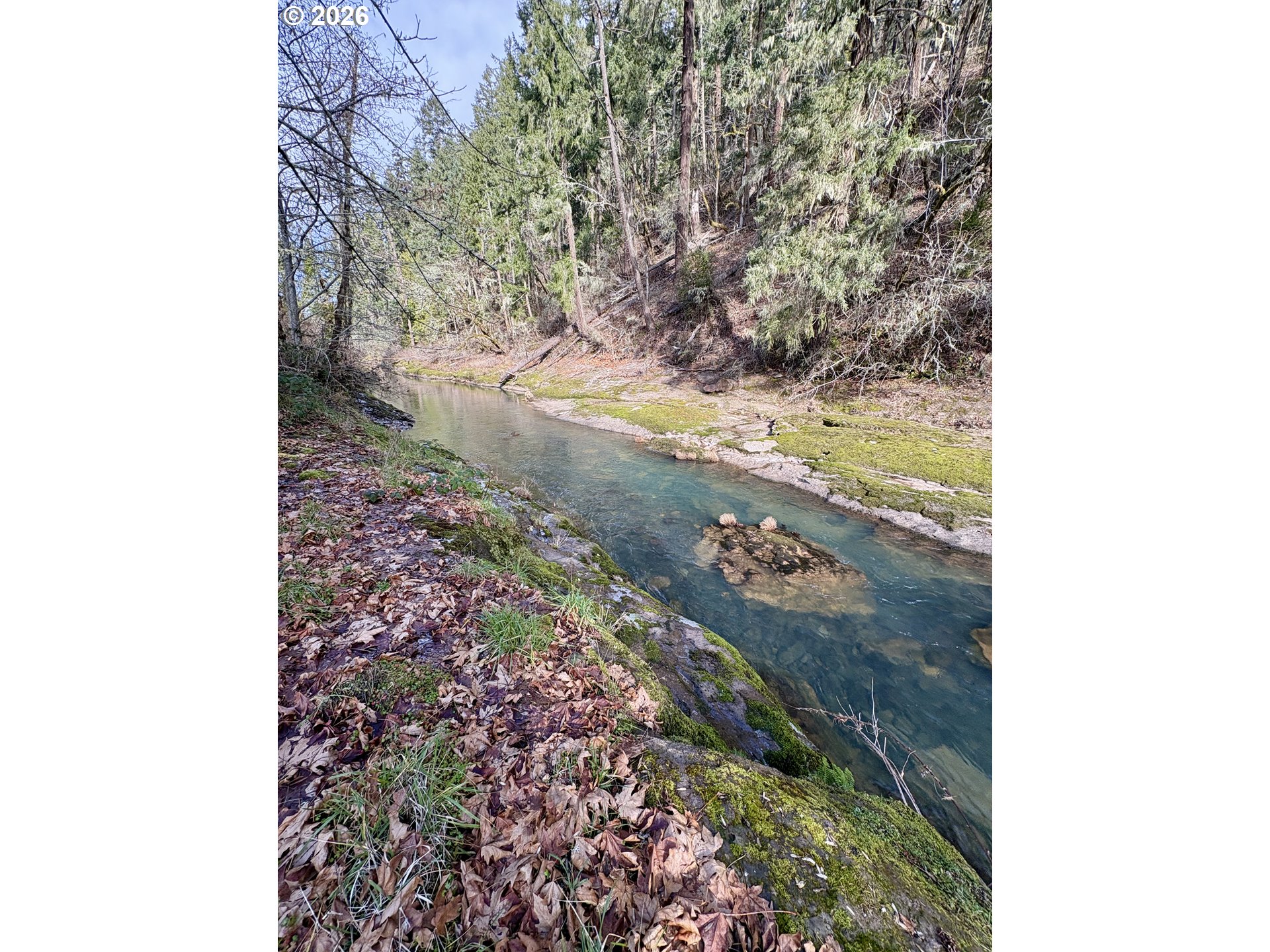 77189 Mosby Creek Road Cottage Grove, OR 97424 - Photo 36 of 36