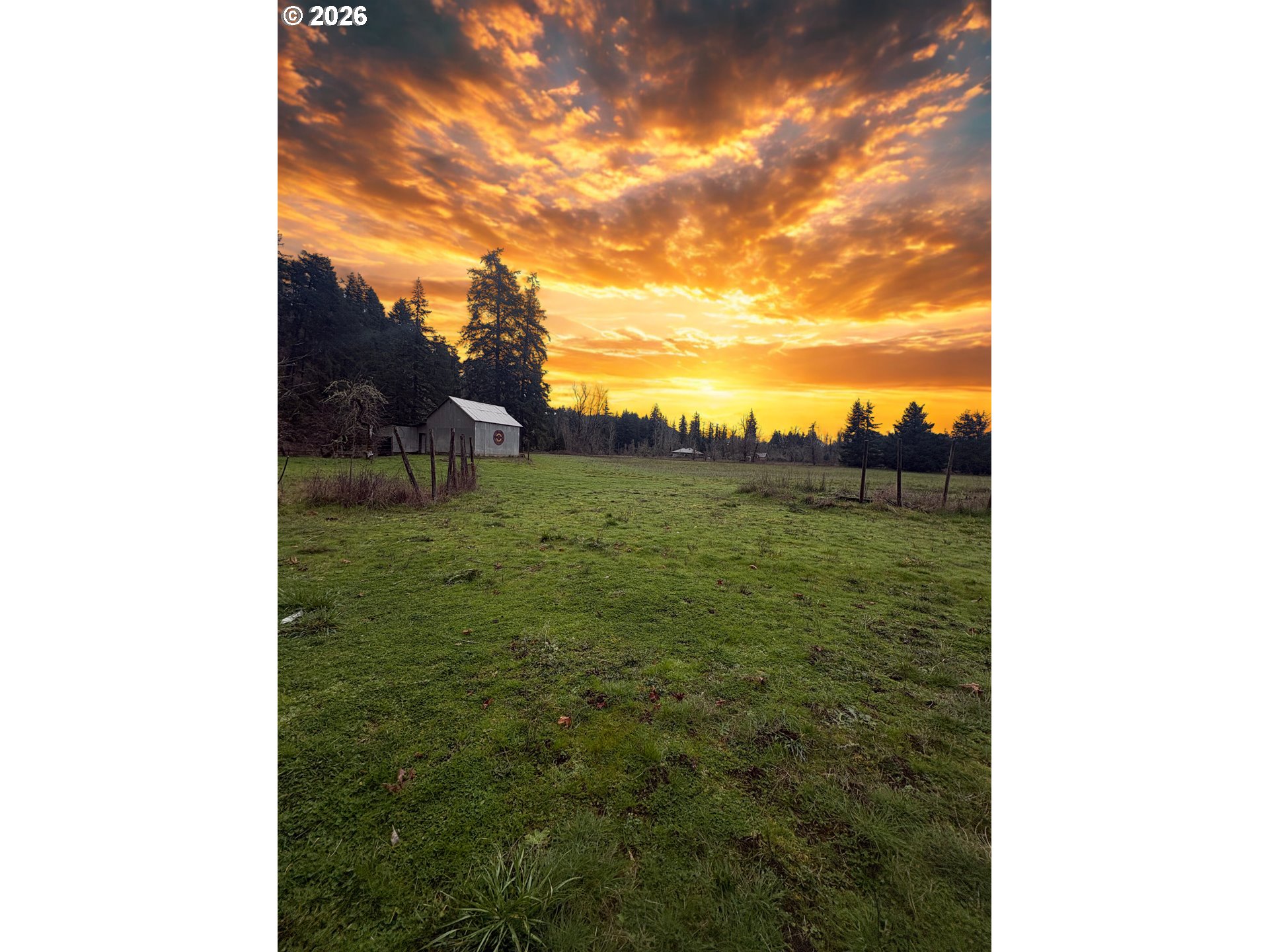 77189 Mosby Creek Road Cottage Grove, OR 97424 - Photo 6 of 36