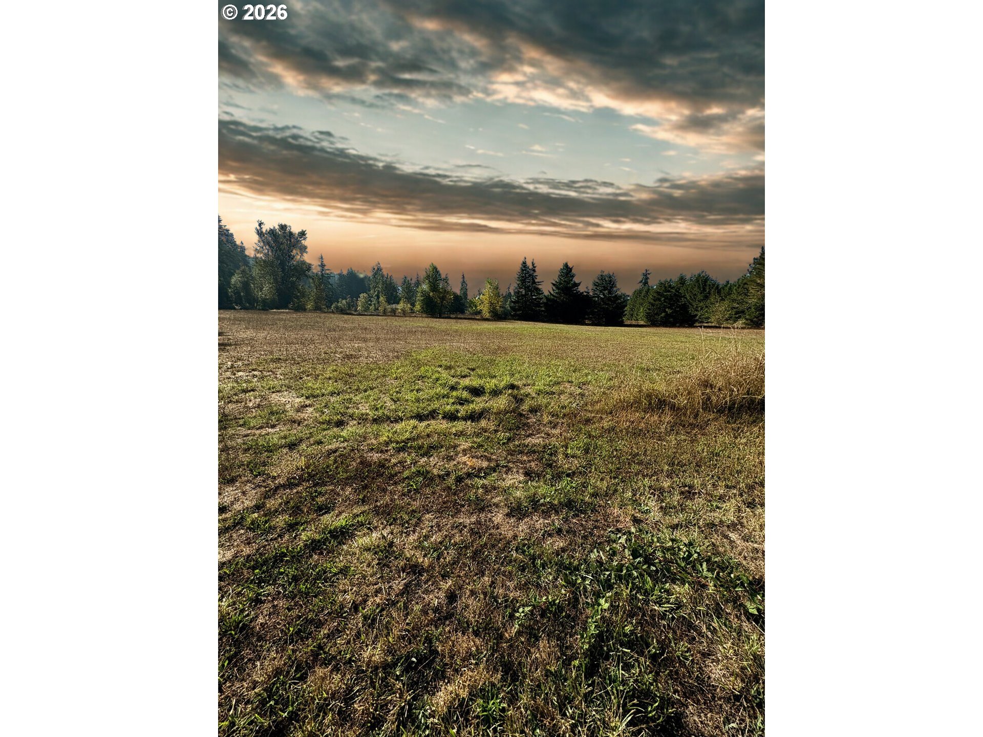 77189 Mosby Creek Road Cottage Grove, OR 97424 - Photo 8 of 36