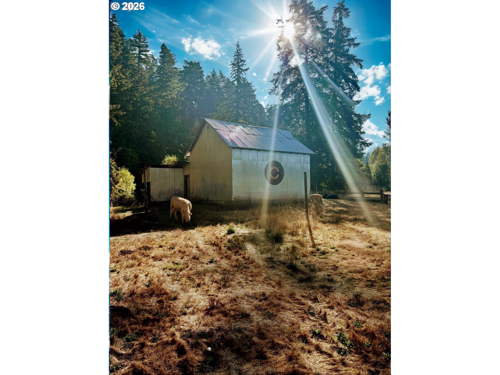 77189 Mosby Creek Road Cottage Grove, OR 97424 - Photo 9 of 36