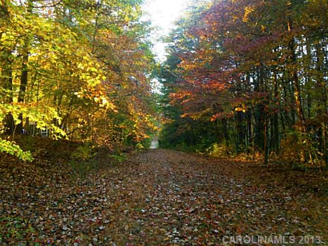 Lot 1 Alexis Lucia Road, Unit 1 Iron Station, NC 28080 - Photo 1 of 6