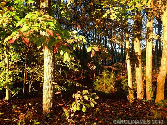Lot 1 Alexis Lucia Road, Unit 1 Iron Station, NC 28080 - Photo 2 of 6