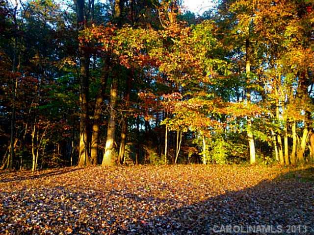 Lot 1 Alexis Lucia Road, Unit 1 Iron Station, NC 28080 - Photo 3 of 6