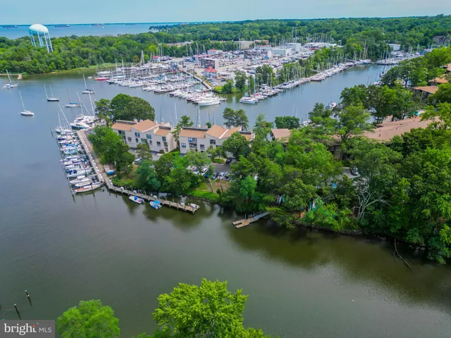 an aerial view of lake residential house with outdoor space and trees all around