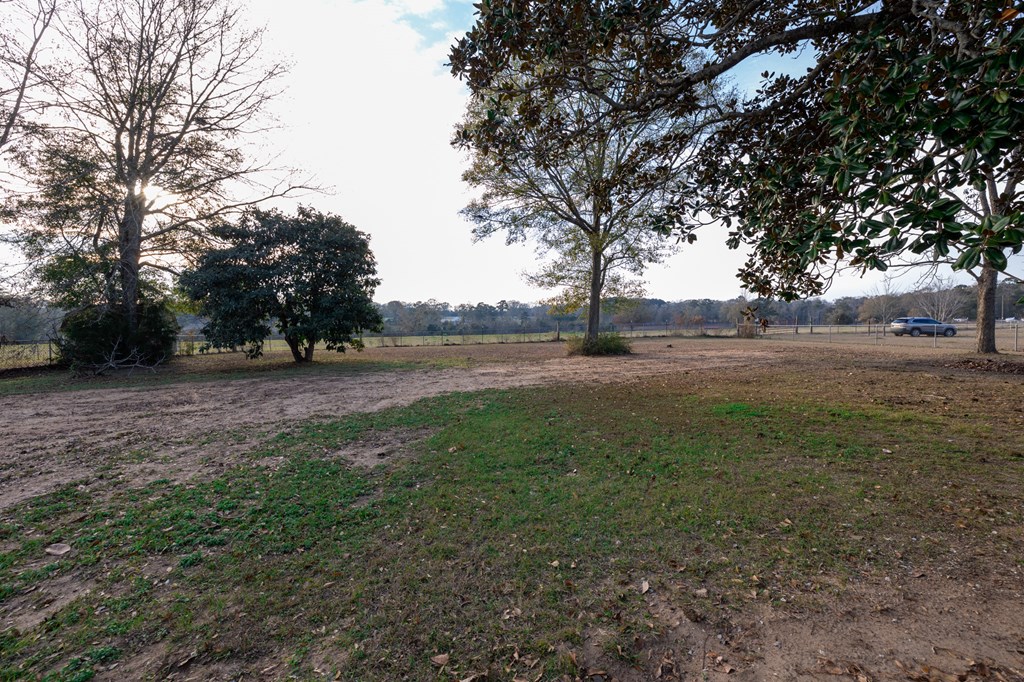 642 Hubbard Road Newton, AL 36352 - Photo 13 of 24