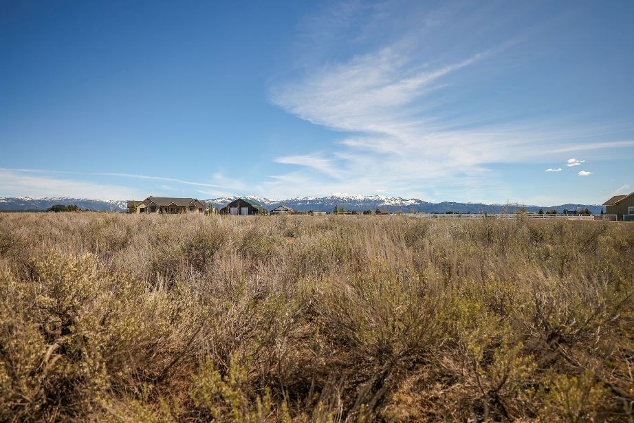 Lot 38 Nisula Road, Unit 38 McCall, ID 83638 - Photo 18 of 29