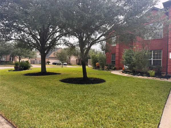 a garden with trees