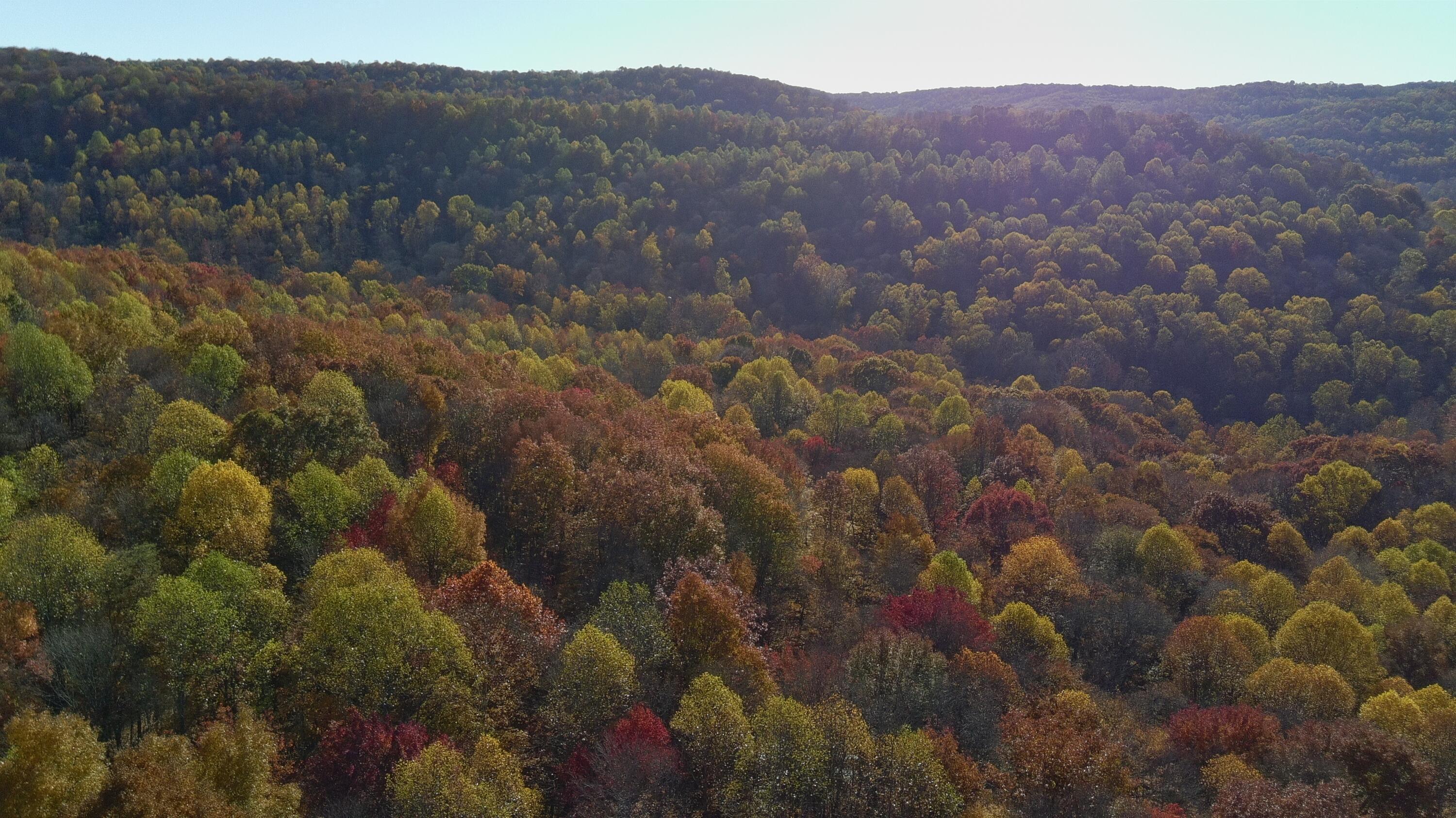 329 Kinzer Road Bainbridge, OH 45612 - Photo 76 of 86 4999854_100DRONE_SING0394