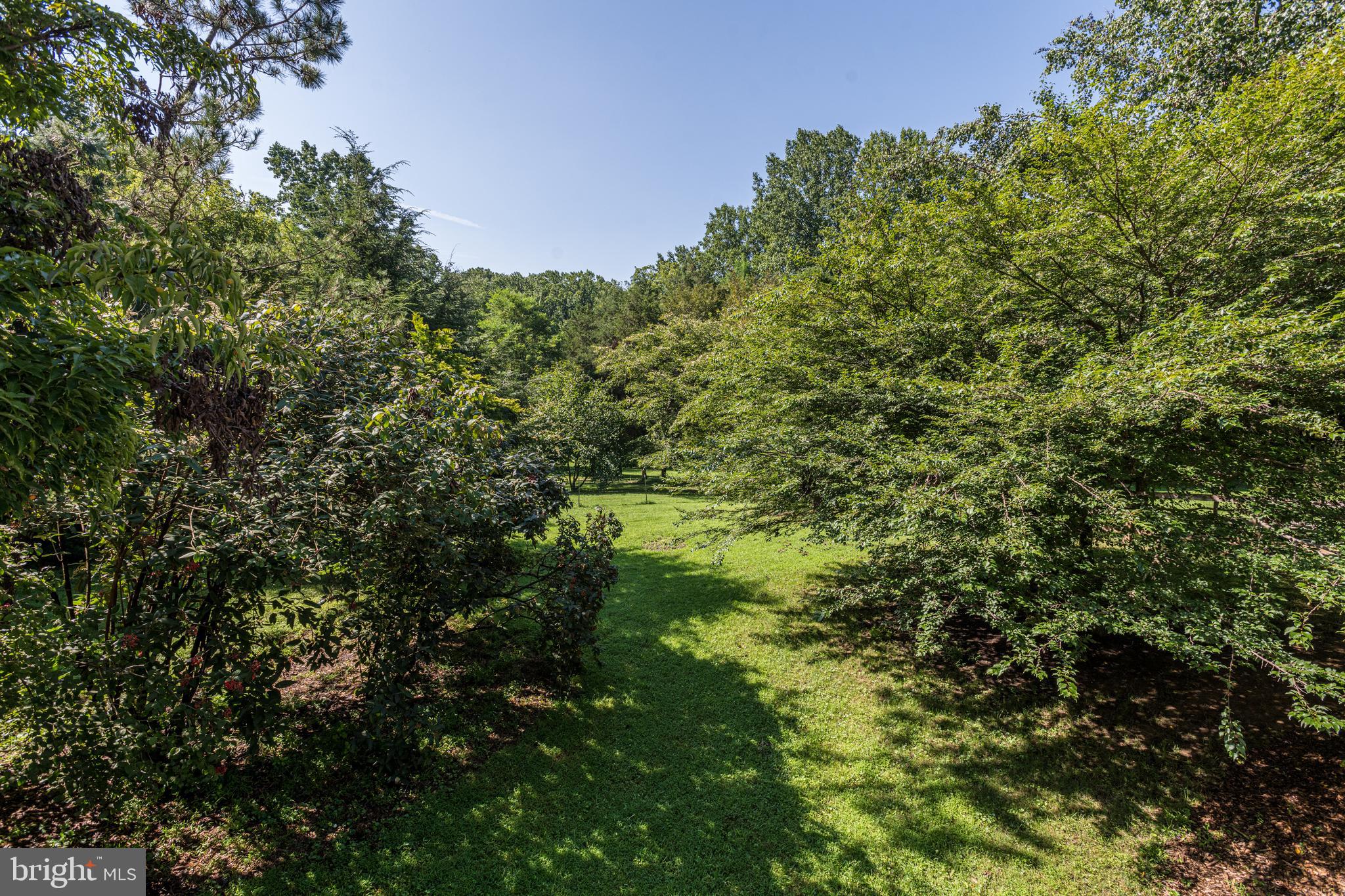 933 Monkton Road Monkton, MD 21111 - Photo 47 of 48 a view of a forest