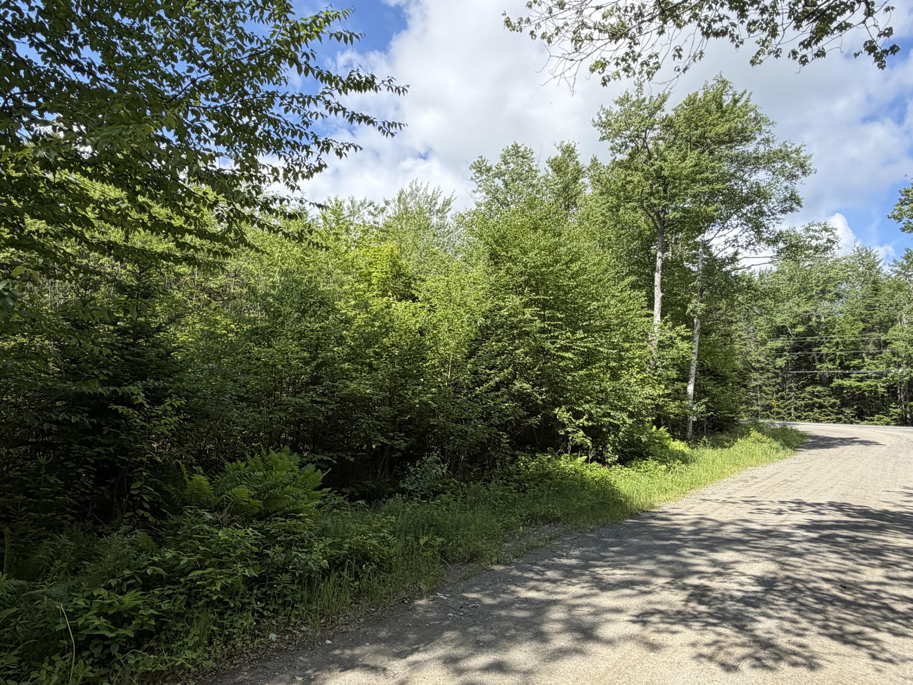 L1 Lily Bay Road Greenville, ME 04441 - Photo 14 of 15 IMG_0801