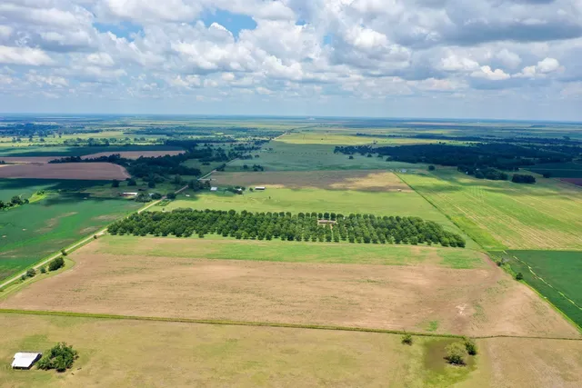 a view of a yard with an outdoor space