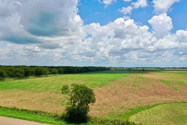 a view of an swimming pool and green space