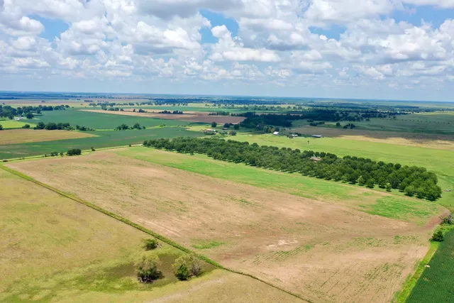 a view of a big yard with an empty space and mountain view in back