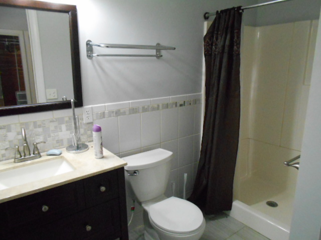 319 East Devlin Street Spring Valley, IL 61362 - Photo 13 of 19 a bathroom with a sink a toilet a shower and a mirror