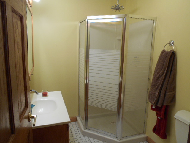 319 East Devlin Street Spring Valley, IL 61362 - Photo 7 of 19 a bathroom with a shower and a sink