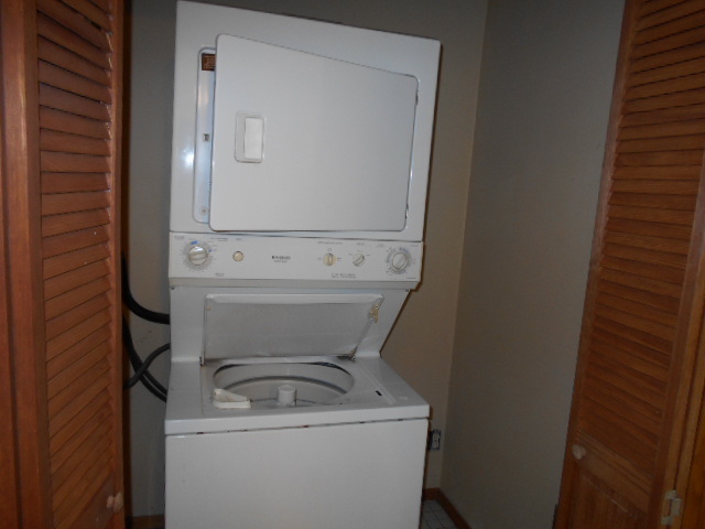 319 East Devlin Street Spring Valley, IL 61362 - Photo 9 of 19 a close up view of a washer and dryer