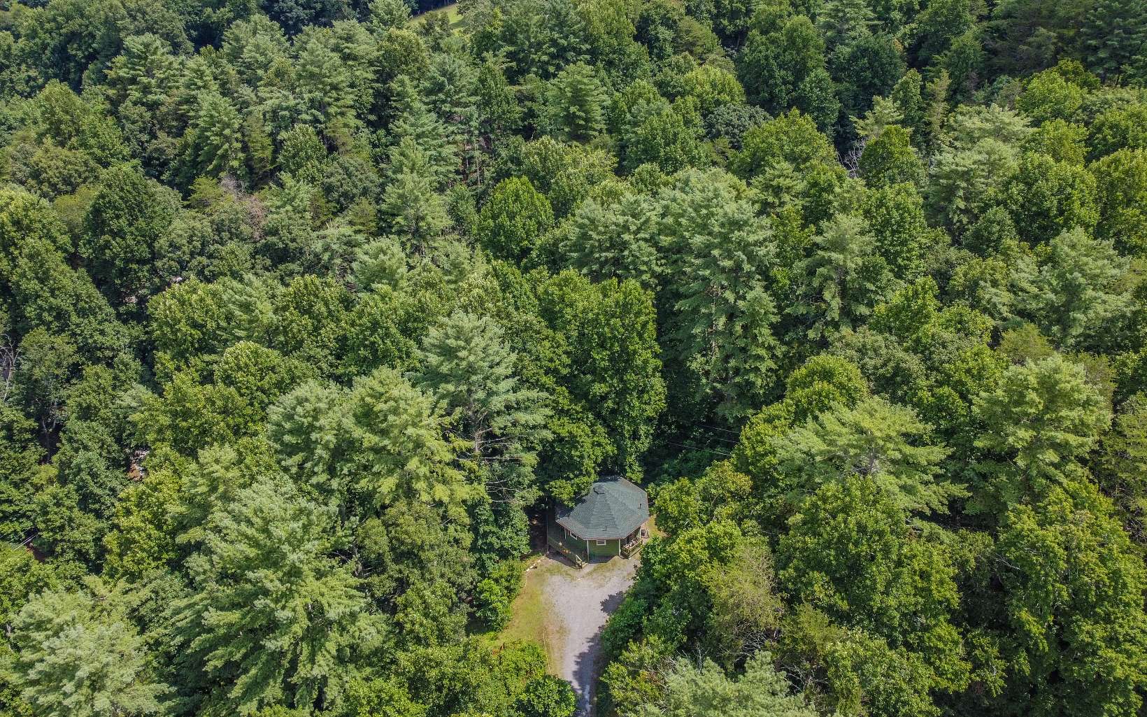 541 Trails End Road Blue Ridge, GA 30513 - Photo 42 of 43 Additional View