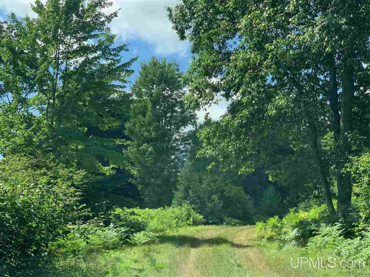 T-wi River Forest Road, Unit 10 Florence, WI 54121 - Photo 5 of 6