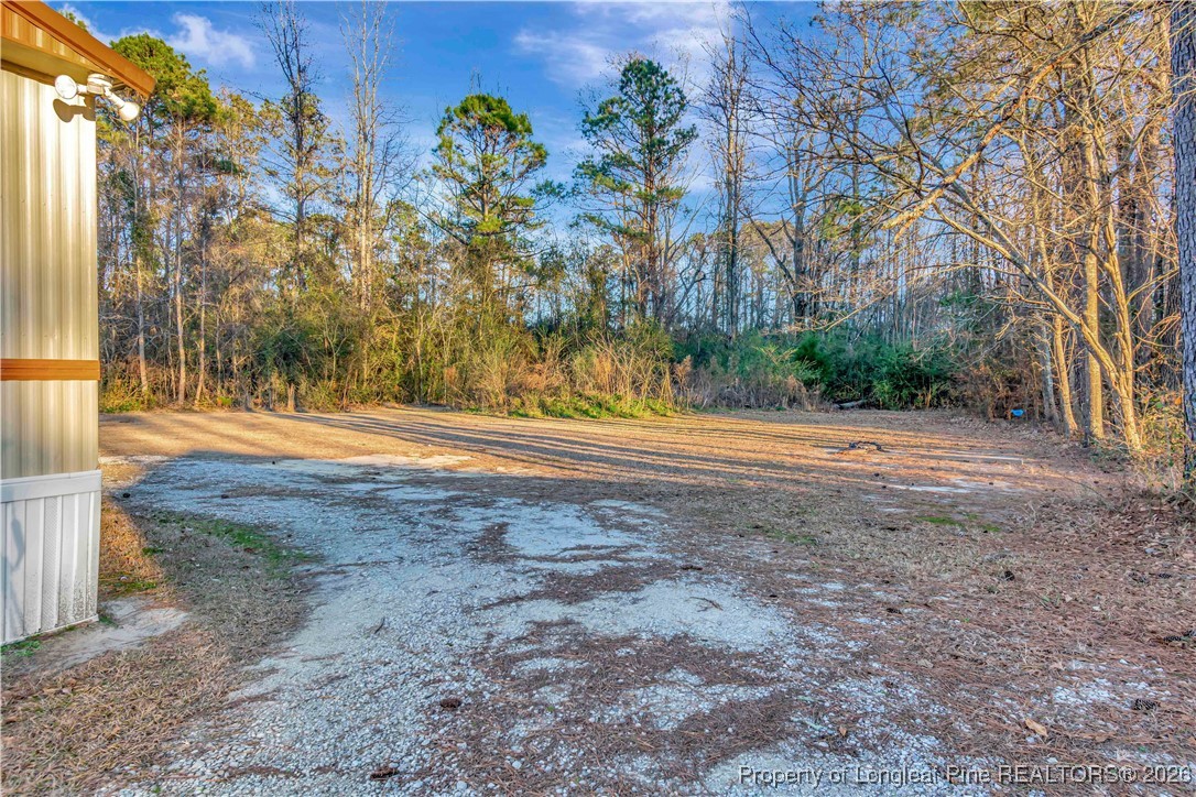 6461 Wire Grass Road Orrum, NC 28369 - Photo 21 of 22 a view of backyard with outdoor space