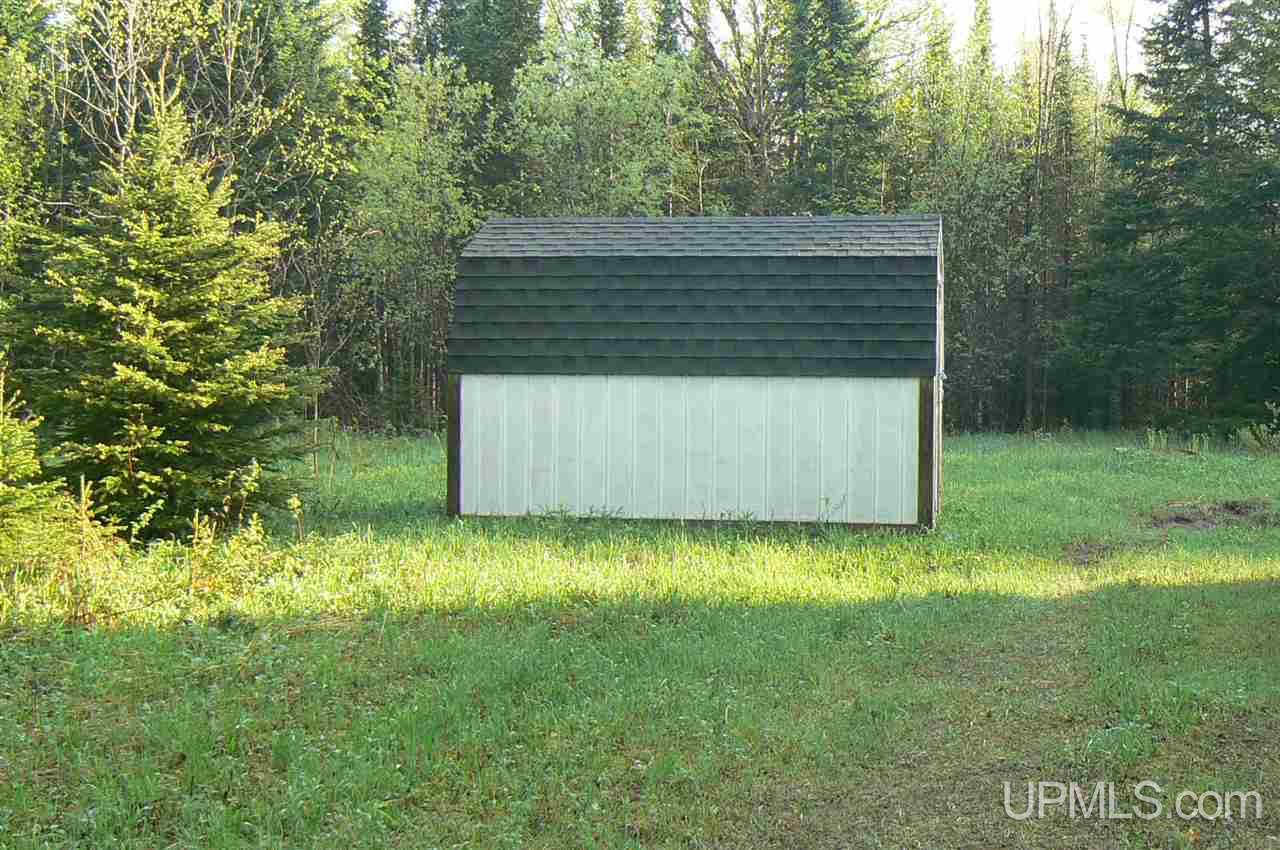 Tbd East Cold Springs Road Chatham, MI 49816 - Photo 8 of 21