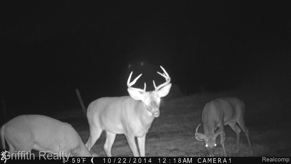 6970 Herbst Road Brighton, MI 48114 - Photo 39 of 49 Gallery Image 39