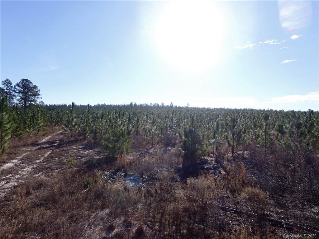 Tbd Tbd Isaac Road Chesterfield, SC 29709 - Photo 2 of 32 a view of a forest with trees in the background