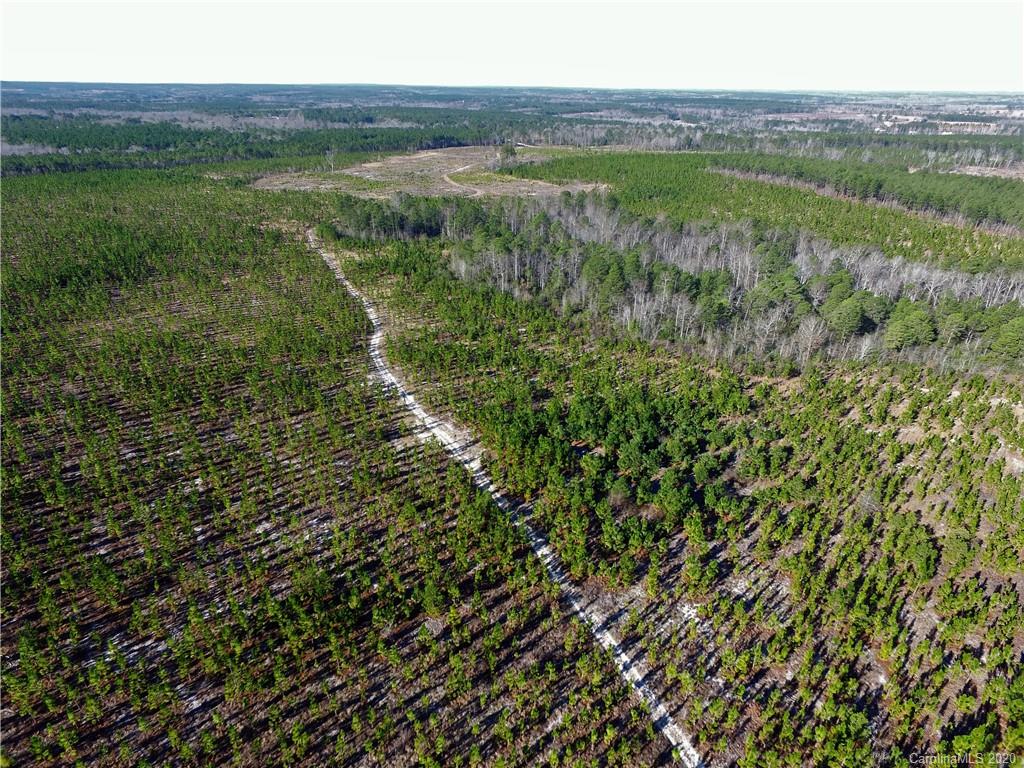 Tbd Tbd Isaac Road Chesterfield, SC 29709 - Photo 15 of 32 a view of a field with an ocean view