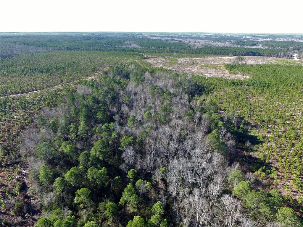 Tbd Tbd Isaac Road Chesterfield, SC 29709 - Photo 20 of 32 a view of a field with an outdoor space