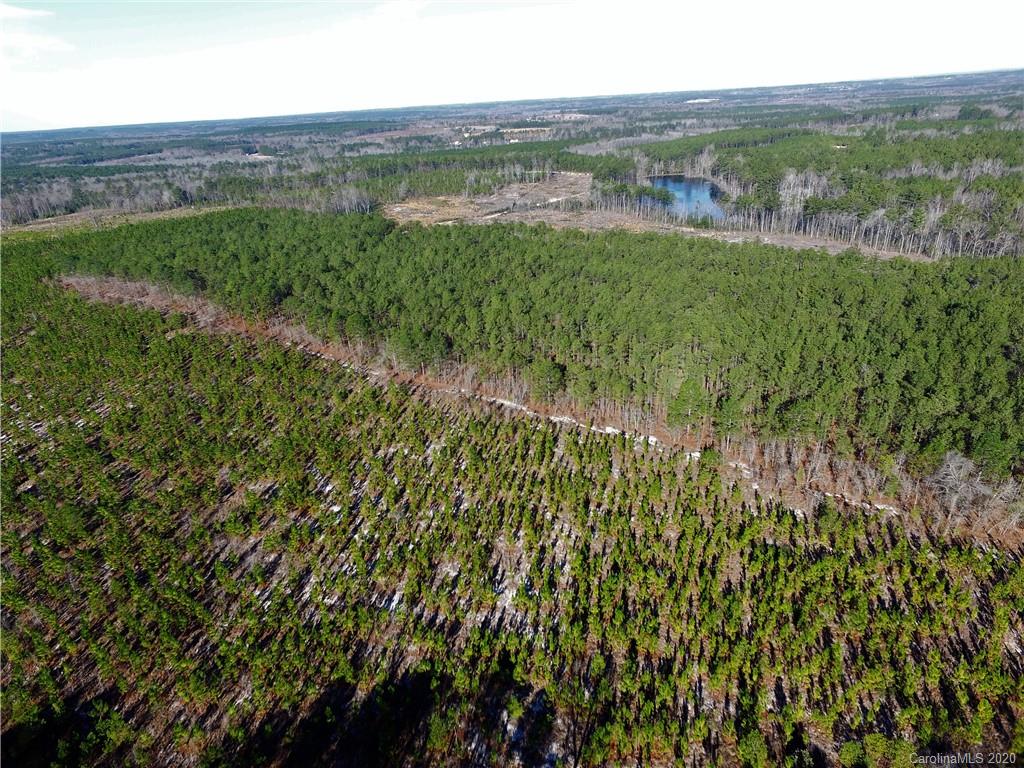 Tbd Tbd Isaac Road Chesterfield, SC 29709 - Photo 21 of 32 a view of a city with lush green forest