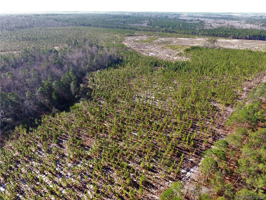 Tbd Tbd Isaac Road Chesterfield, SC 29709 - Photo 22 of 32 a view of lake with green space
