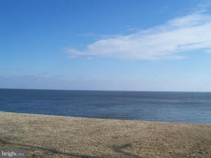 View from patio