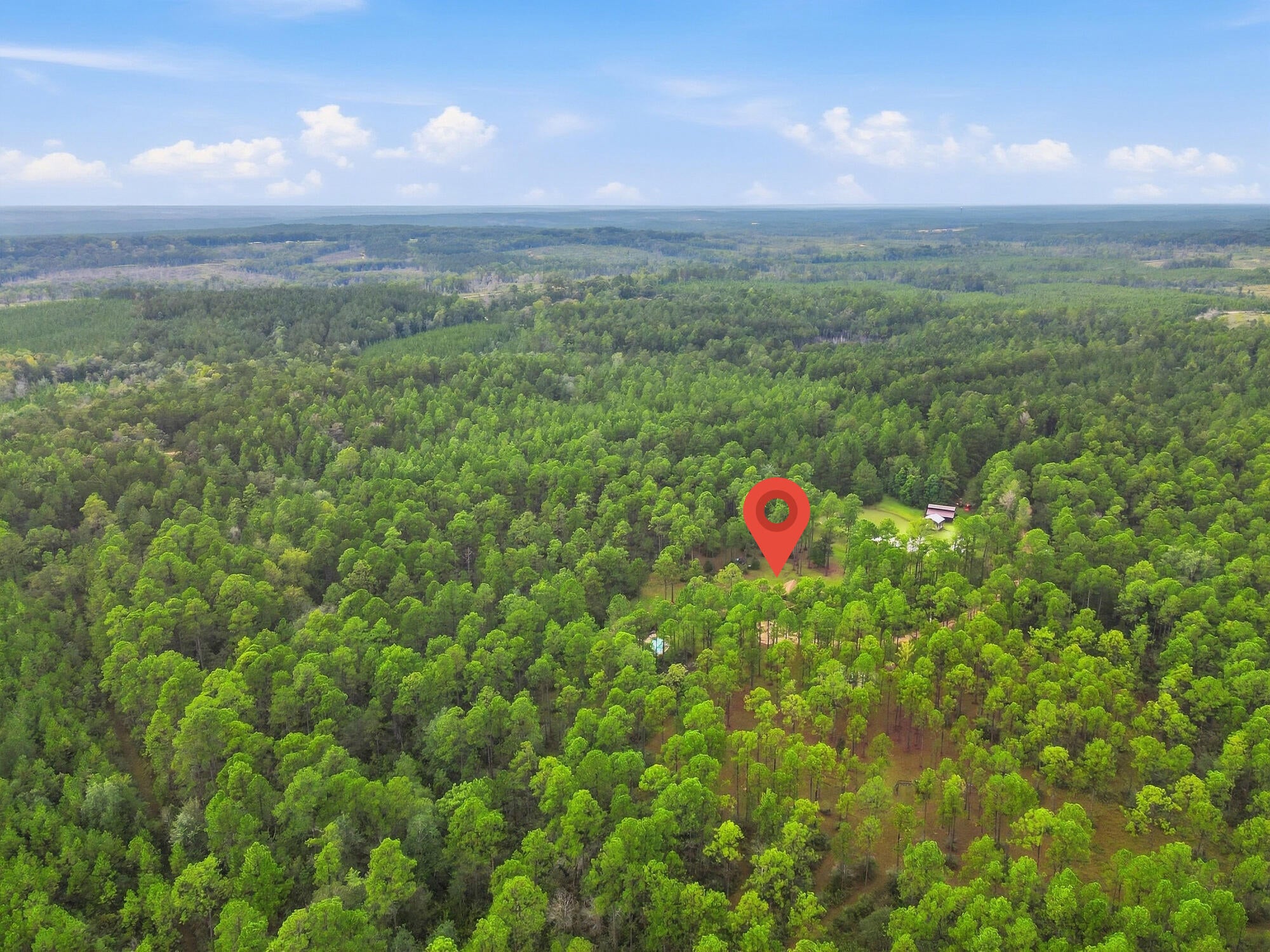463 Jess Williams Road Poplarville, MS 39470 - Photo 56 of 59 Gallery Image 56