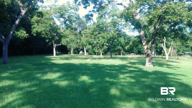 12678 Bender Road Foley, AL 36535 - Photo 19 of 20 Beautiful pecan orchard right in your back yard!