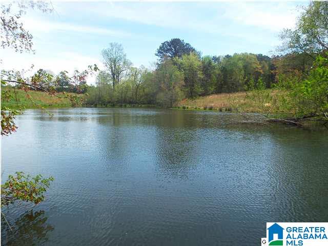 306 Hamm Road Blountsville, AL 35031 - Photo 5 of 28