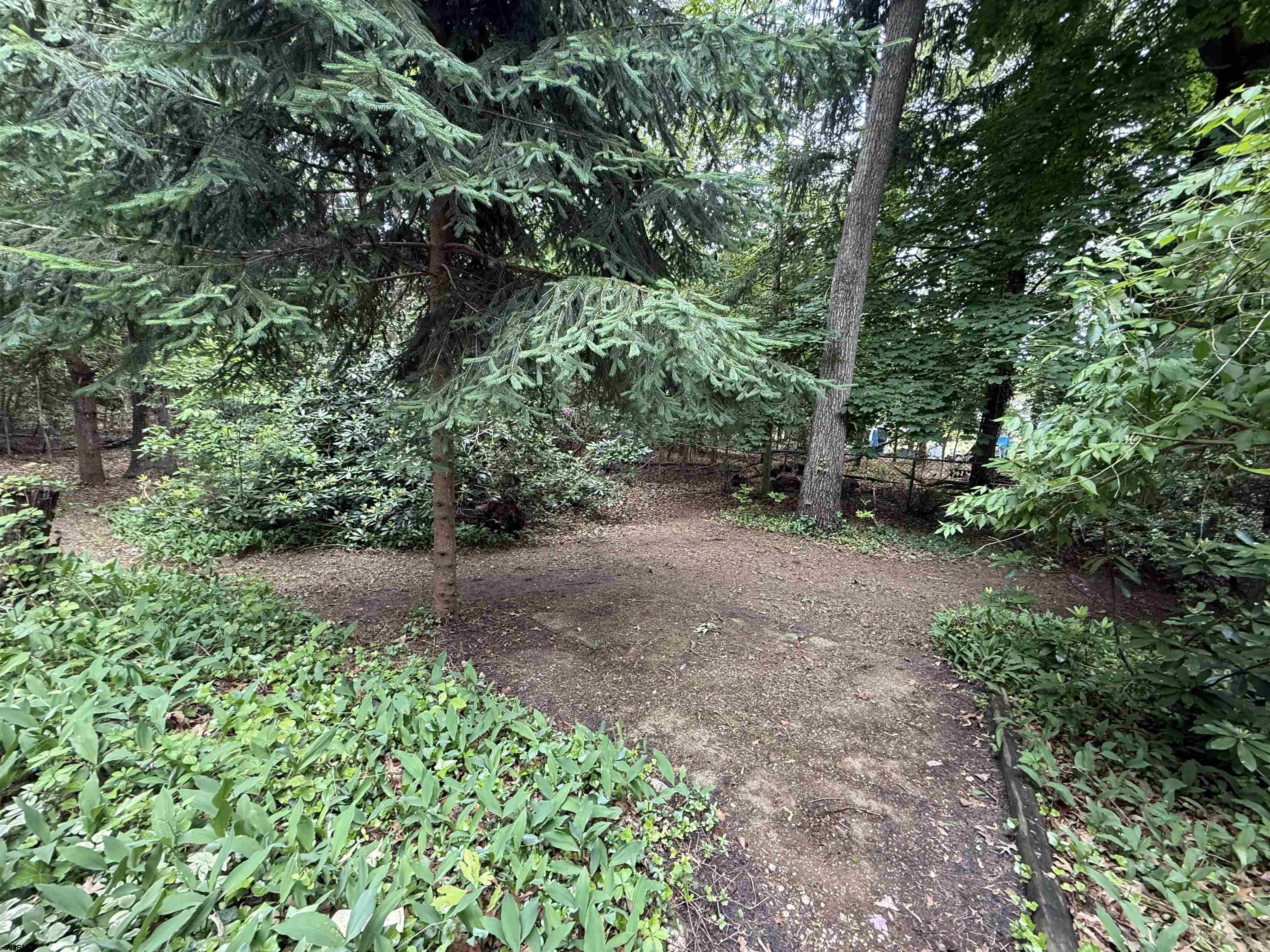 144 Pitney Road Absecon, NJ 08201 - Photo 8 of 47 a view of a forest with lots of trees