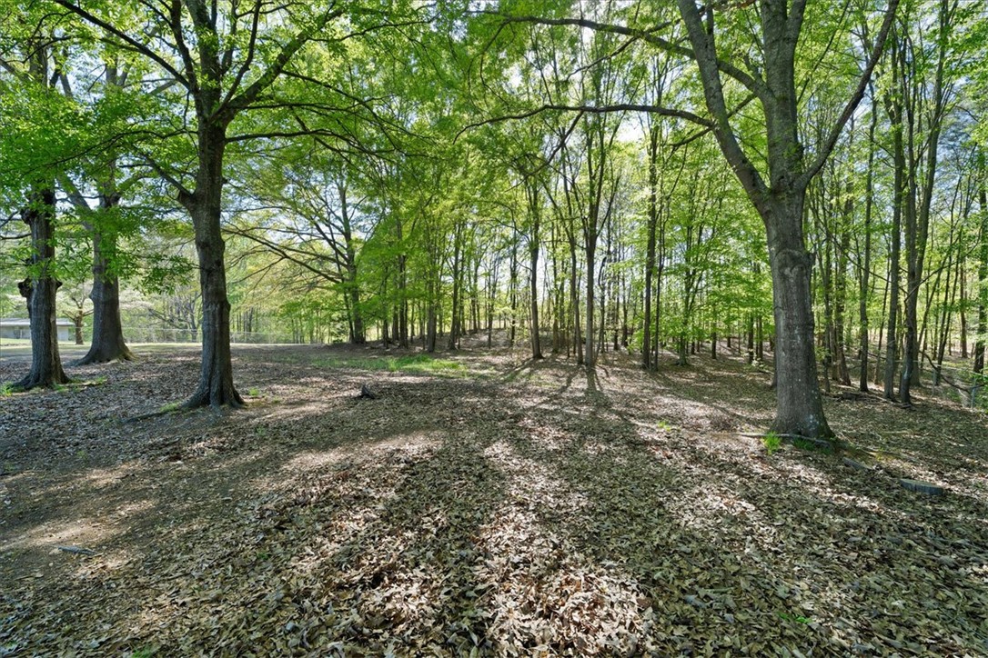 106 Torrington Road Walhalla, SC 29691 - Photo 24 of 29