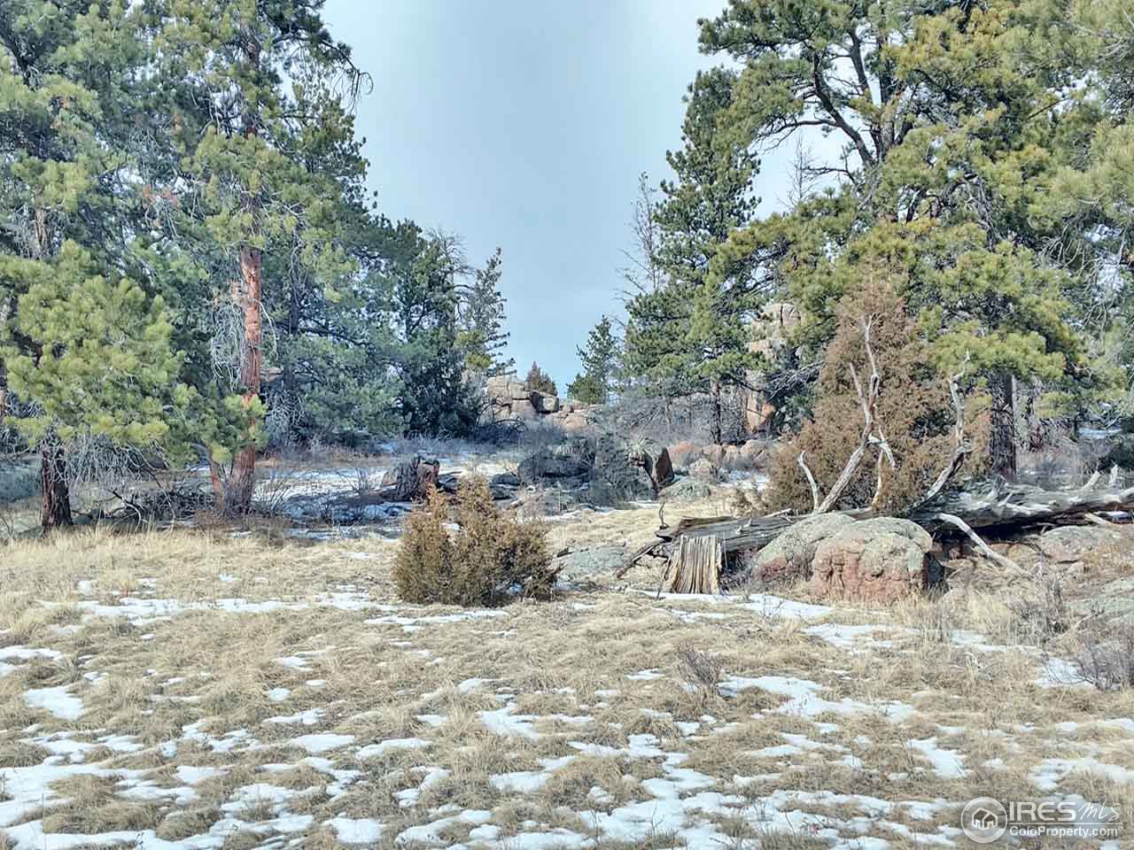 949 Two Bears Road Livermore, CO 80536 - Photo 15 of 20 Gallery Image 15