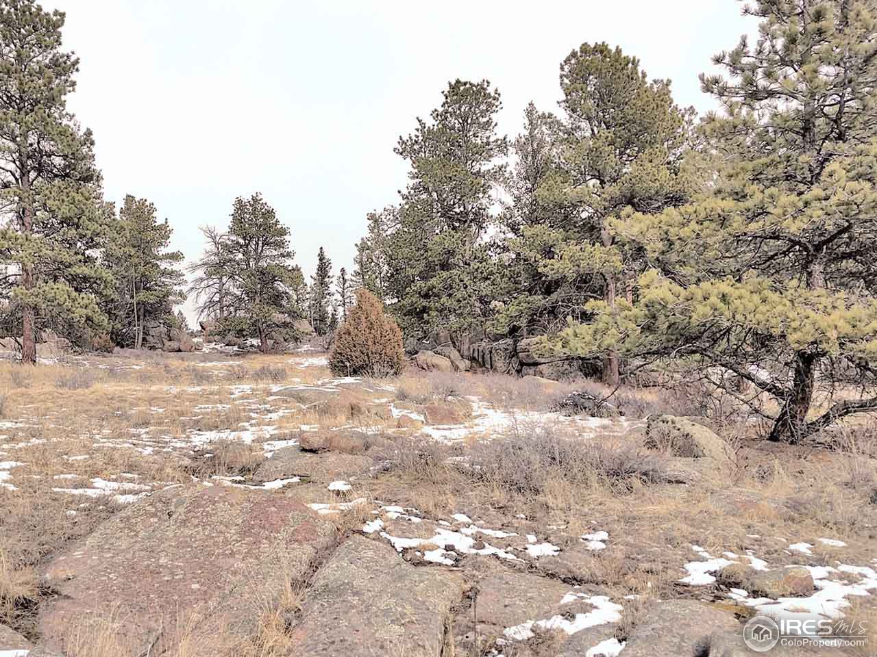 949 Two Bears Road Livermore, CO 80536 - Photo 18 of 20 Gallery Image 18