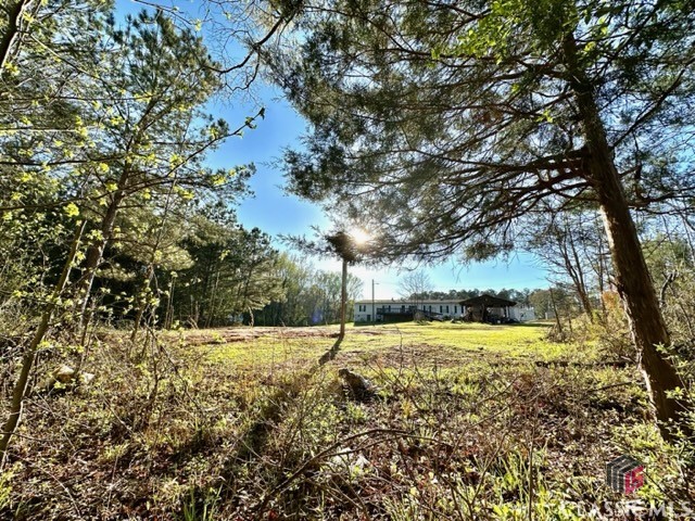 1 Dora Bush Hill Road McRae-Helena, GA 31037 - Photo 27 of 32