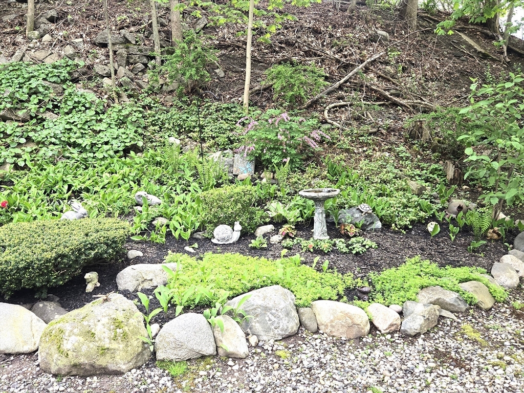 6 Venice Street, Unit F2 Danvers, MA 01923 - Photo 14 of 19 a view of a garden with plants